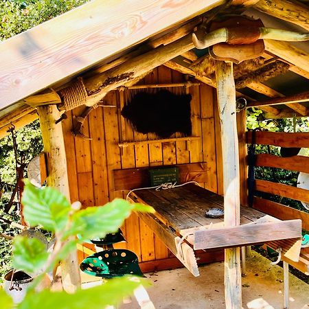 La Cabane Perchee Du Trappeur Écrainville Kültér fotó