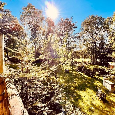 La Cabane Perchee Du Trappeur Écrainville Kültér fotó
