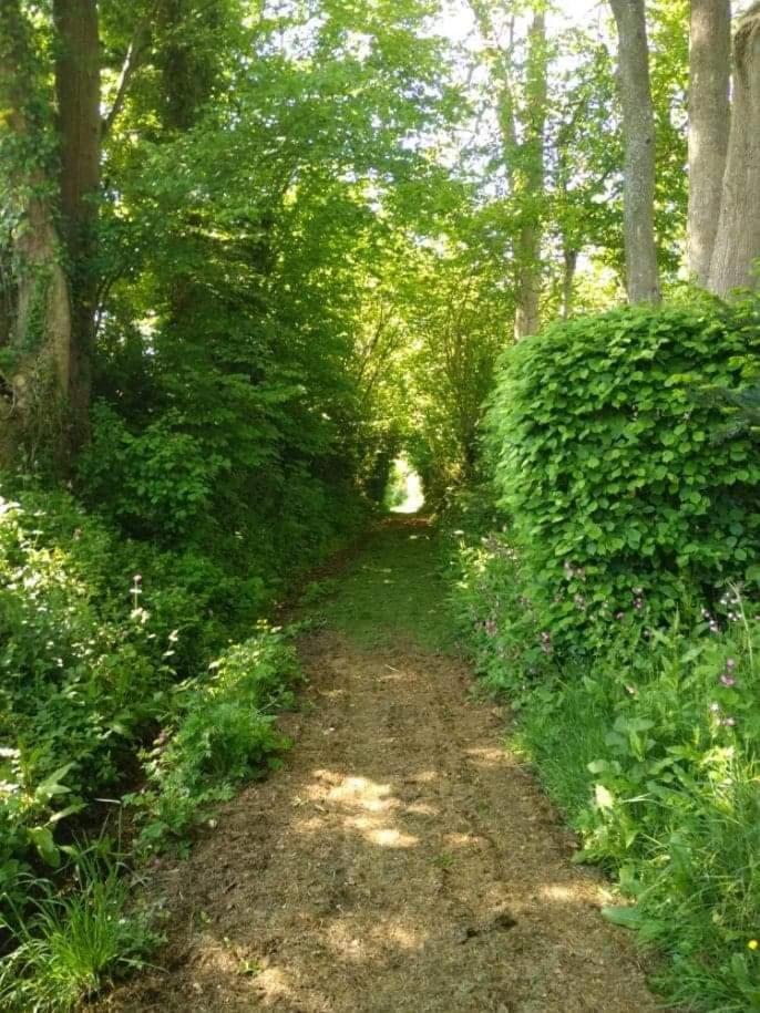 La Cabane Perchee Du Trappeur Écrainville Kültér fotó