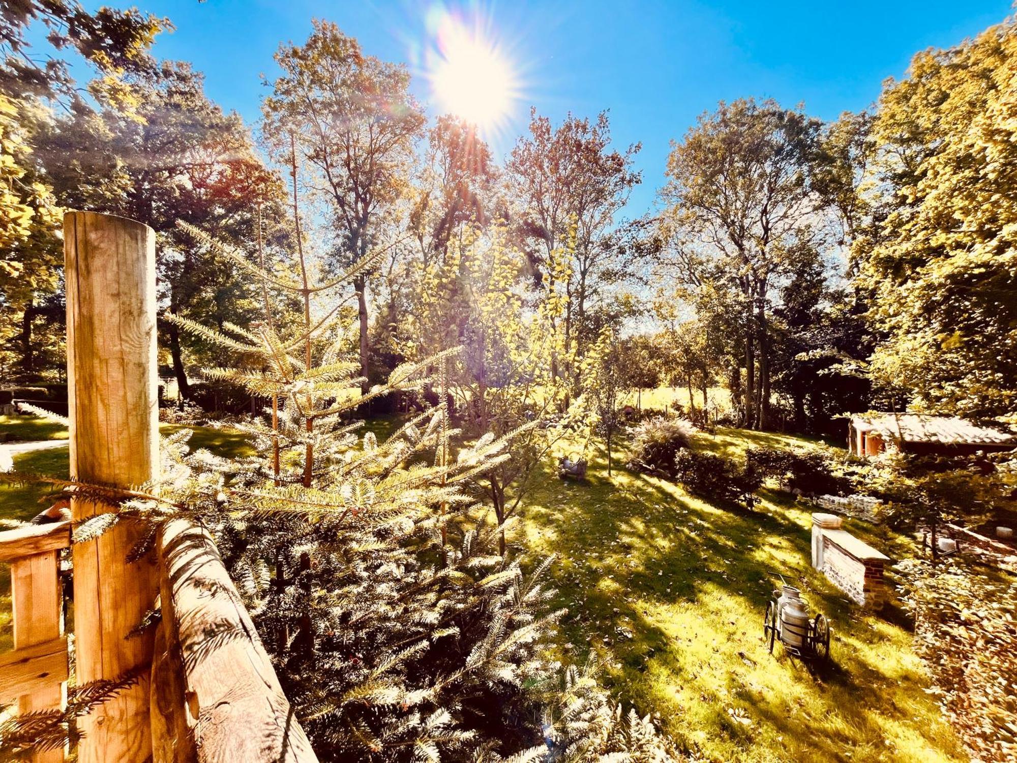 La Cabane Perchee Du Trappeur Écrainville Kültér fotó