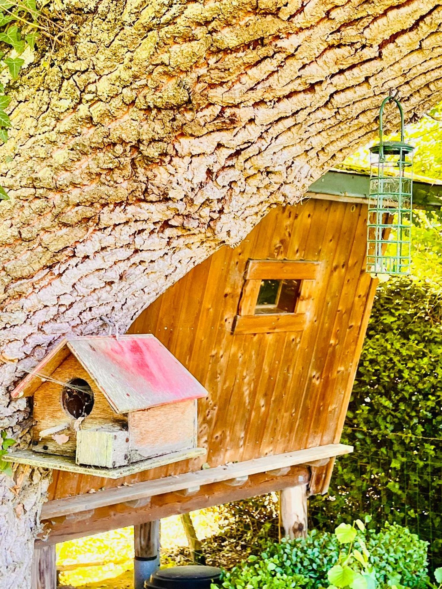 La Cabane Perchee Du Trappeur Écrainville Kültér fotó